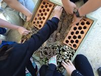 Eco Escola Itinerante3